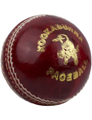 Kookaburra Cricket Paceball - Men's